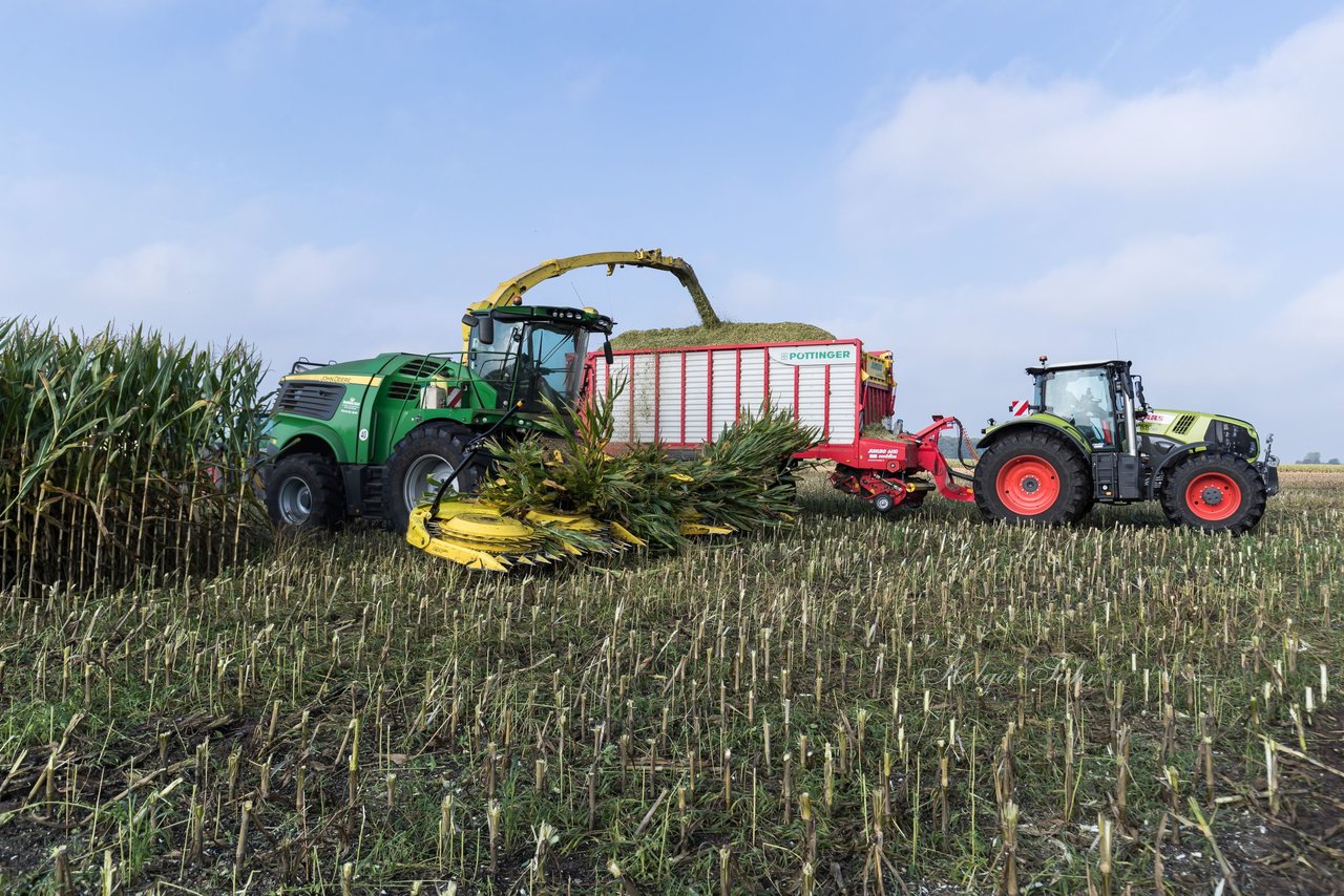 Bild 146 - Maisernte